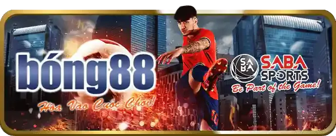 Trách nhiệm Kclub chính thức trong cá cược